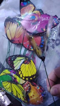 مجموعة • متوفر • ديكور