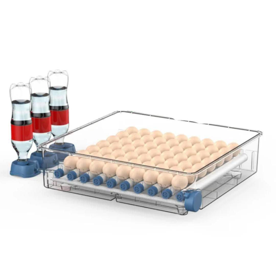 داشکاندنی وادوباره نابیته وه تۆش داوای بکه
#هەڵێنەری_جوجکەی_ئەصڵی_فول_ئۆتۆماتیک .
داشکاندنی وادوباره نابیته وه
_ بۆ هەموو جۆرە هێلکەیەک دەبێت .داشکاندنی وادوباره نابیته وه 
_    80  هێلکەیی و65هیڵکه یی فول ئۆتۆماتیک .
_ پێویستی بە 50 واط کارەبا هەیە بۆ کارکردن .
_ بەکارەبا و بە پاتری کاردەکات .
_ لایتی فەحسکردنی هێلکەی لەگەڵدایە پێویست ناکات 
    هێلەکان لەمەقفەسەکە دەرکەی .
_ سێ قاعیده ی ئاوی له گه له
_ ڕێژەی شێ و پلەی گەرمی لەسەر شاشە نیشان دەدات .
_ پلەی گەرمی ئۆتۆماتیک .
ــ خولانەوەی هێلکە ئۆتۆماتیک .
   🚗گەیاندن بێ بەرامبەرە بۆ سەرجەم شار و شارۆچکەکان .
***********
