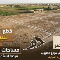 سامراء • مزارع الطيوب • للبيع