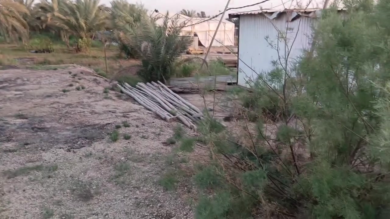 نصف دونم أو أكثر ، طابو ملك صرف بإسمي ، على طريق كربلاء بغداد خلف مجمع الشيخ الكليني مقابل عمود ٣٣٧ .
للإستفسار أكثر إتصل.
***********
