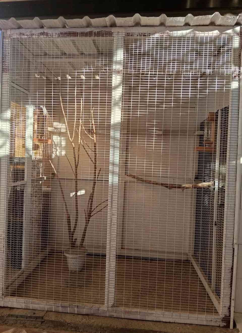 قفص طيور حتى يرهم دجاج العرض مترين ونص الطول مترين  160الف


**إذا كنت صاحب هذا الإعلان وتريد حذفه لأي سبب، رجاءا أرسل رسالة إلى الدعم الفني**