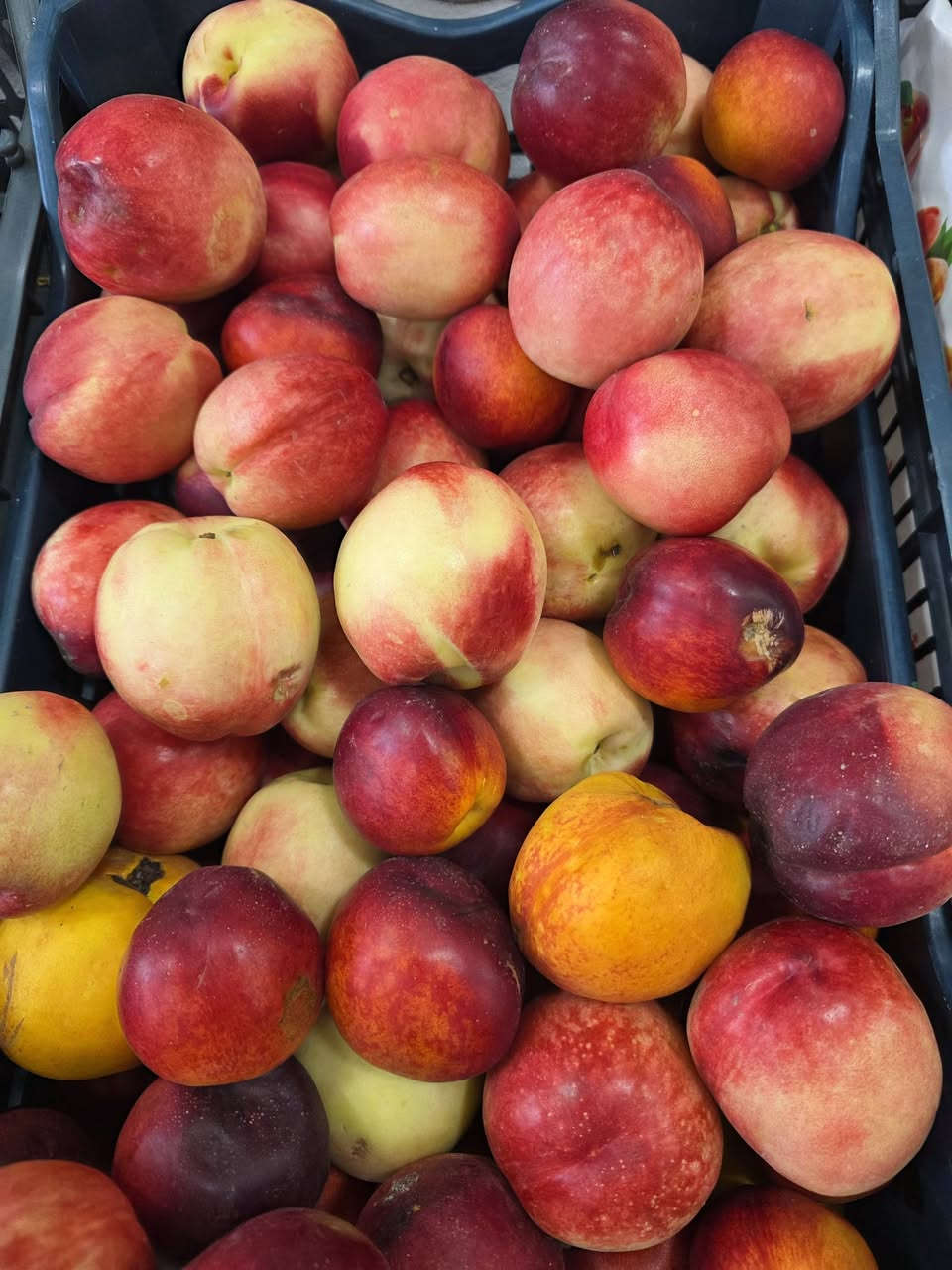 بسم الله 
وع بركه الله 
مسواك اليوم خير وبركه ان شاءالله 
متوفر جميع انواع الفواكه والخضراوات 🍇 🍒 🫑 🫛 🌶 🍋‍🟩 🍇 🍒 🫑 🫛 🌶 🍋‍🟩 🍇 🍒  
كل ماهو جديد يم بقالة اليرموك 
العنوان البيت الصيني محلات كوزمتك باريس سابقااا 
متوفر توصيل صباحا ومساءاا 
هاتف ***********
