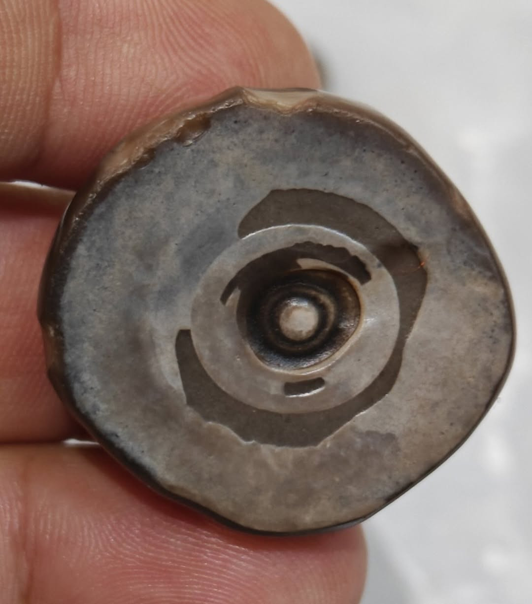 أحجار لكطهن من صحراء الرمادي 
نوادر أرض العراق ملاكط الرمادي 
القطع نوادر جدا 
قطع مميزات وجميلات وطاقه روحانيه واحد على واحد للبيع بالجمله السعر مناسب للي يريدون يستفادون 
يوجد توصيل لكل المحافظات سعرهن مناسب 
واحجار لكطهن من صحراء الرمادي
***********
