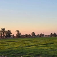 ابو غریب الزيدان • ٤ دونم • طابو زراعي سند ٢٥