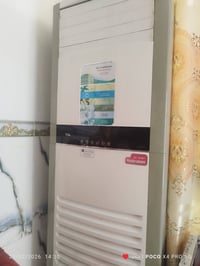 سبلت شغال • نضيف • بابل الحمزه الغربي