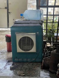 مبرده • شغاله • نضيفه