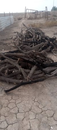 حطب للبيع أتصل واتساب وتدلل 07712006381