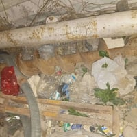 برينة للبيع ٠٧٧٦٥٦٦١٦١١بسعر مناسب