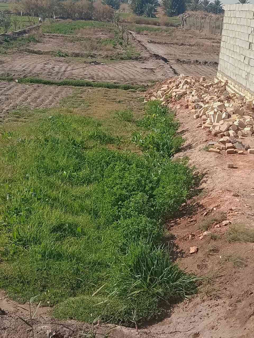 سلام عليكم عندي كاعد دونم وبيه بيتين مثل ماموضح بلفيديو بيت طابوك جبير كامل وثاني بلوك هيكل الكاعد مزروعه كله جت وبيه مراح مال عجول المكان ديوانيه غريت العطاء يم ملعب سنبله البيت عل نهر مباشرتن السعر 75 اليشتري خل يتواصل ويانه والمايشتري لا يضل بس يراسل *********** اليحب يستفسر اكثر اتصل على هاذه رقم
