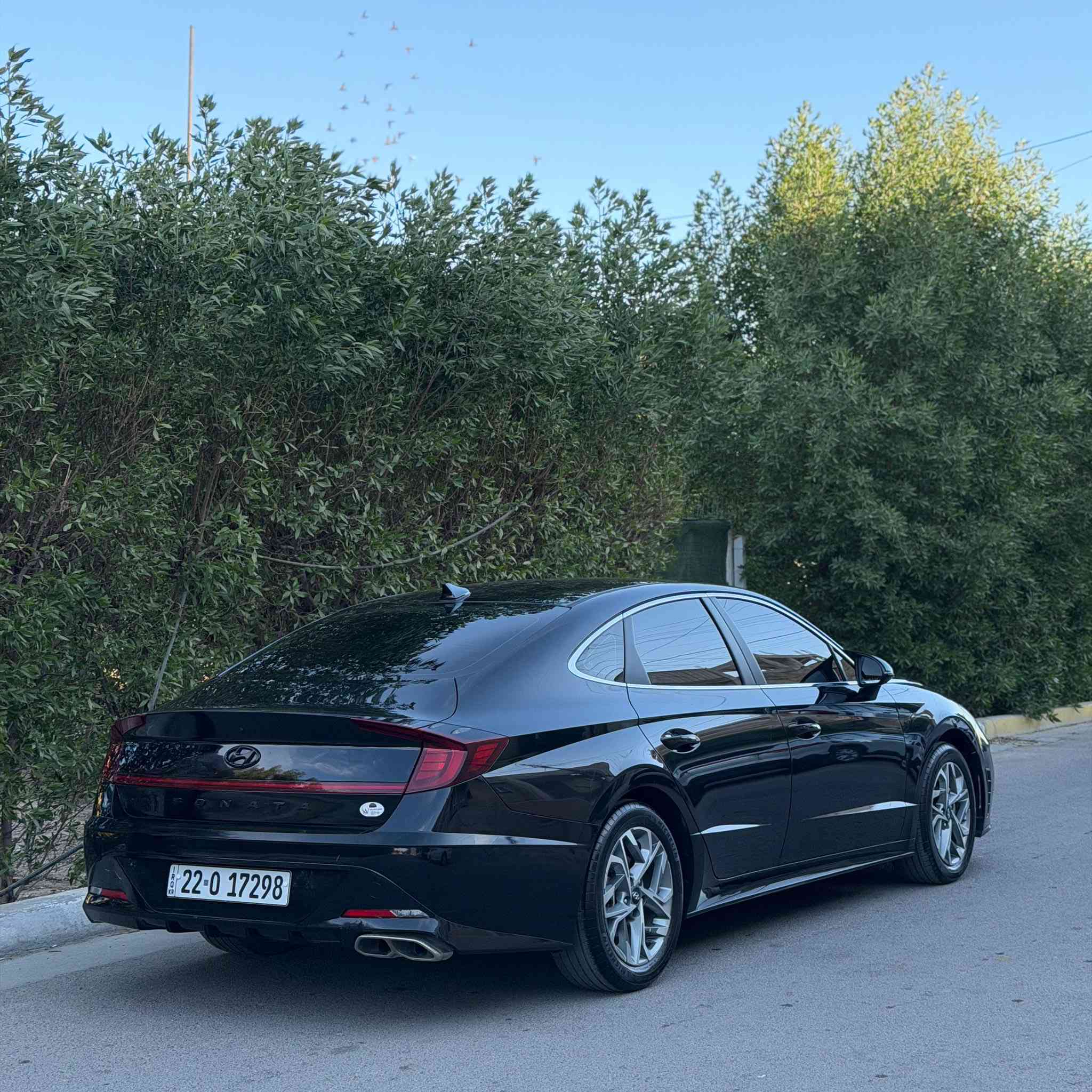 سلام عليكم سوناتا
موديل 23 رقم اربيل بسمي

تحويل ثاني يوم 

بيها حادث جاملغ وبنيد بدون دواخل 

مضلل بسنويه 80 بل 100 سياره فول عدا البانوراما
ماشيه 31 

بصمه تشغيل 

ترحيب 

لد امامي 

لد خلفي 

كشن كهرباء 

تشغيل عن بعد 

شاشه جبيره 

مود درايڤ

4 انظمه قياده 

سياره خير من الله وجاهزه مابيها نقص برغي

مكان سياره بغداد السيديه 

للاستفسار 

***********

السعر160 وبيها مجال بسيط للشراي
