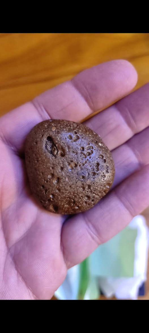 السلام عليكم اخوان مجموعة احجار ملاكط مال كاع للبيع اليريد هذا رقمي بي واتساب اسعار مناسبه وبخدمتكم للعلم ماعدي خدمة توصيل ***********
