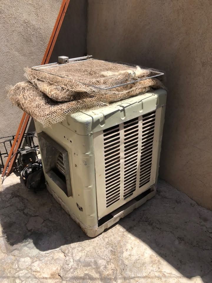 بلازمه فول انترنت فول انترنت اخر اصدار ١٤ حجم ٣٢
صار ٦ اشهر اخذته ب ٢٠٠
رايدها ب ١٥٠ وبي مجال
مبرده حجم واحد ونص تريد كشر تريد ماطور شلون تريد ابيعلك ماطور سرعتين مال سوبر سعر ٤٥ 
***********
