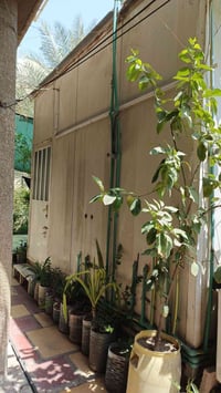كرفان للبيع 4*6 في شارع فلسطين مع حمام وتأسيس بواري ب مليونين ونص وبي ...