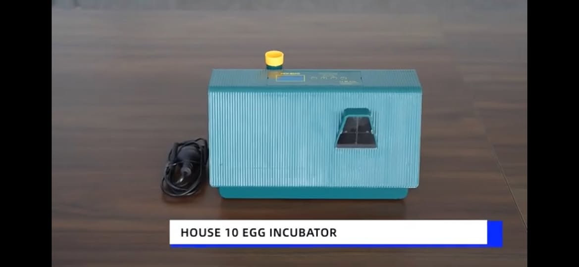 فقاسه للبيع تقليب اوتماتيك مضمونه ومرتبه تفقس جميع انواع البيض السعر 35 بغداد المعالف البياع


**إذا كنت صاحب هذا الإعلان وتريد حذفه لأي سبب، رجاءا أرسل رسالة إلى الدعم الفني**