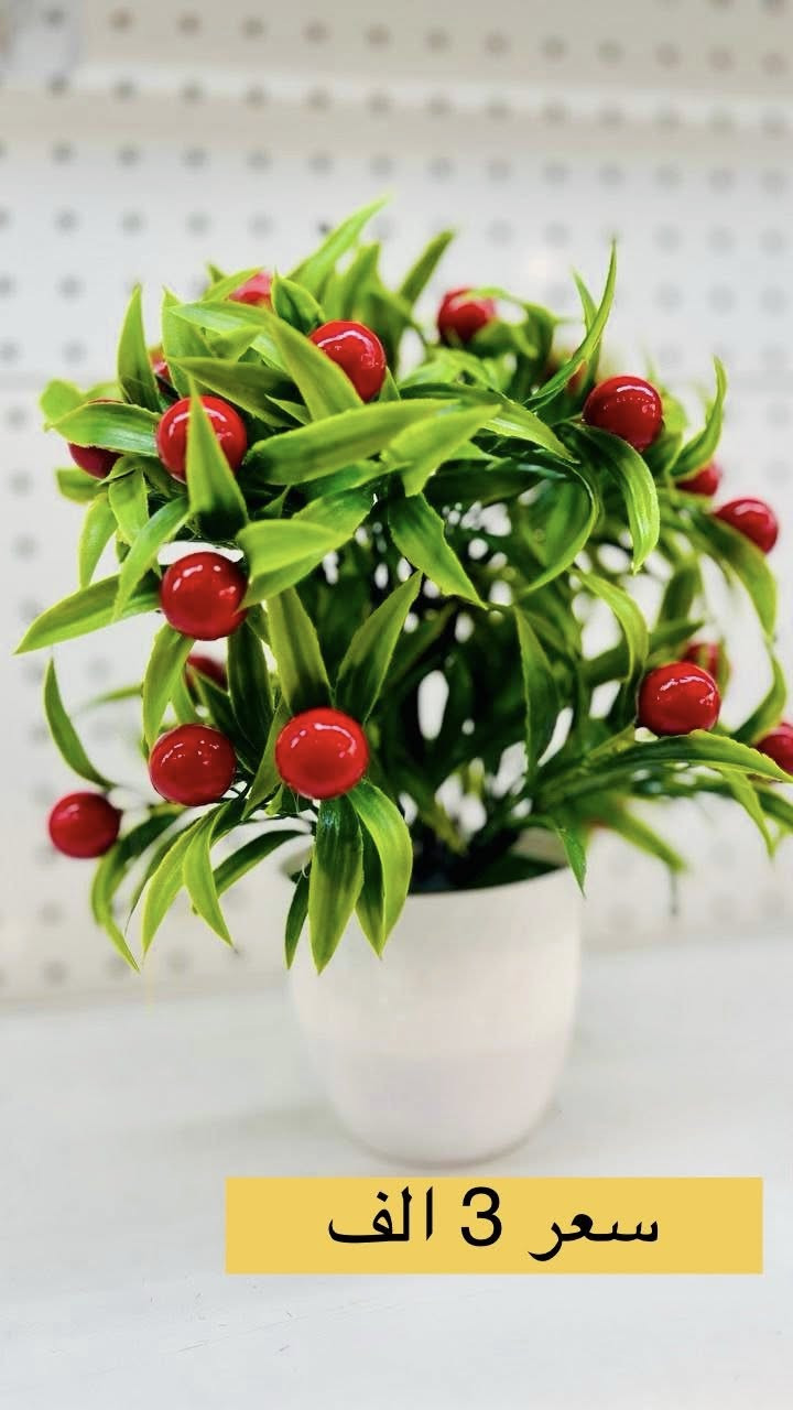 محل كرم للمواد المنزلية 
العنوان الناصرية صوب الشاميه فرع ماس مول 
يوجد خدمة توصيل 
واتساب ***********
