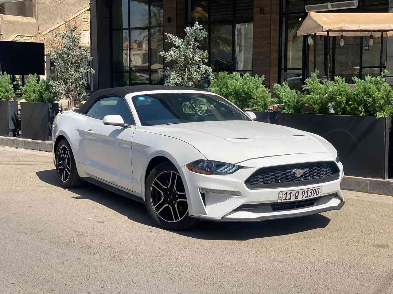موستانك بريميوم ايكو بوست كشف2023
مكينه 4 سلندر تيربو كير 10 نمر

ماشيه ب امريكا 32 الف ميل وهنا صارت 33 الف فقط
السياره جديده جدا ونظيفه 

مواصفات البريميوم

قماره كشف والجلد بعده بلادي

كيجات 7 اللوان

شفتات ستيرن

كشنات كهرباء وجلد

كشنات تدفئه تبريد

كشنين كهرباء 

تدفئه ستيرن

ترحيب بالمري

رادار امامي وخلفي وجوانب وتحديد مسار

حساس خلفي

شاشه كبيره بلاديه

عليها تخم تاير جديد

حادثه بسيط تفاصيله بالخاص

السعر 185 وبيه مجال بسيط 

مكانه السيديه 
رقمي ***********
