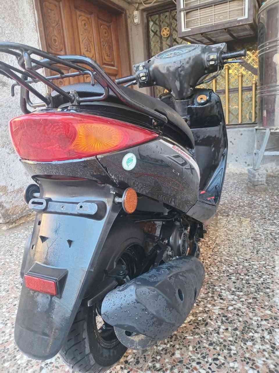 ببغاء مكفوله كفاله عامه ماشيه ٣٨ الف دراجه جديده كله شغاله مابيه اي نقص هاذ رقمي *********** مني الك سنه بيه
