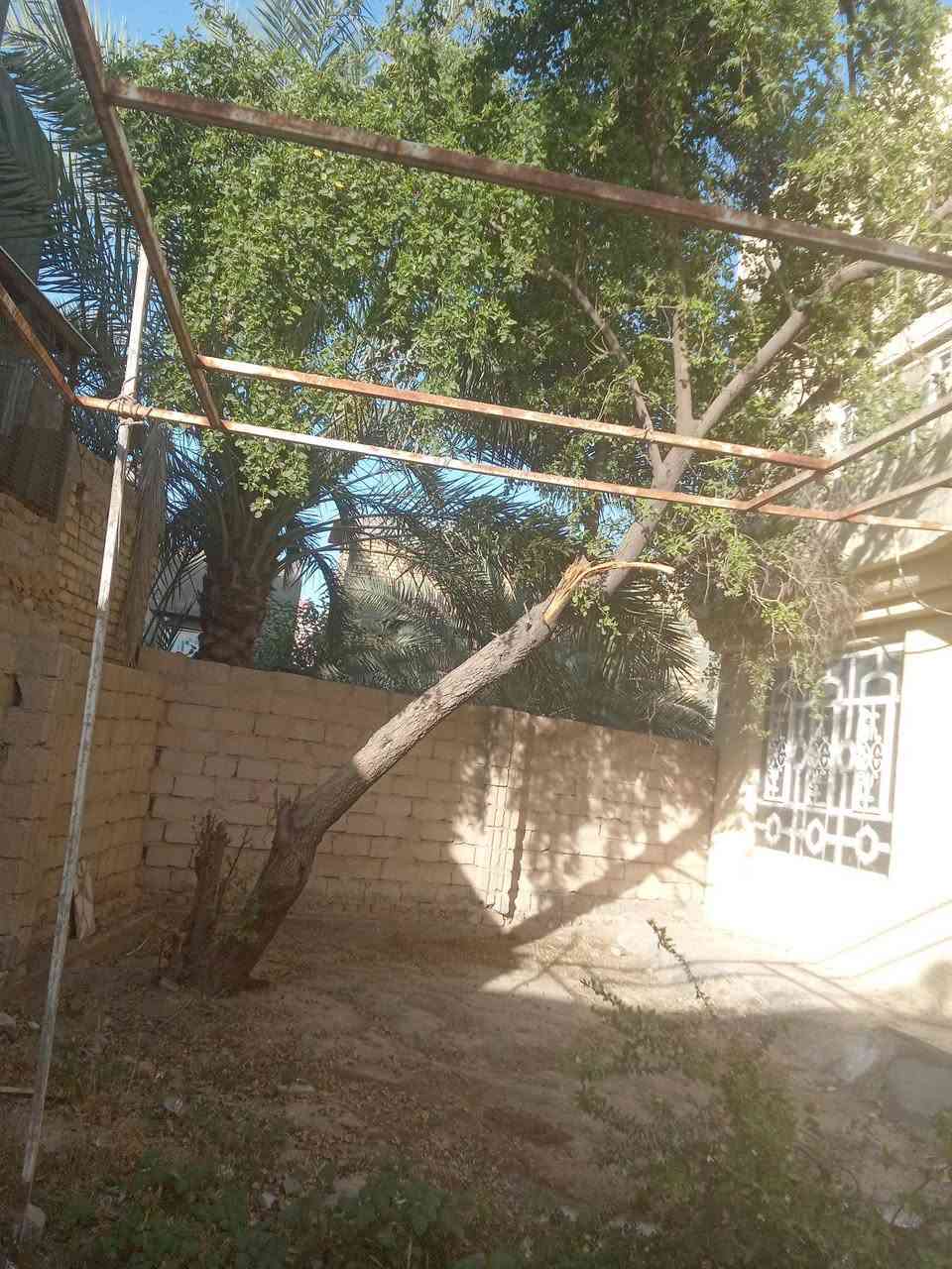 موجود بيت فارغ واخو الجديد كل نقص مابي ٢٧٥ طابو زراعي كريطه بداية شارع ثلاثين من كلشب جاهز حتى ماطور جديد ومولدة شارع جيب غراضك واسكن اكثر تفاصيل اتصل واتساب *********** كلش جبير خمس غرغ ٤ في ٥ وحديقه
