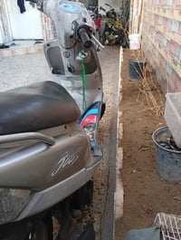 دراجة منغولي • أوراق • سلف عطلان