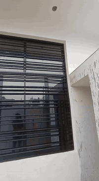 كادر صبغ • جام الشبابيك • ٢٤ ساعة