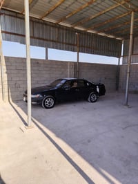 مارك نفخ • ١٩٩٢ • الزبير