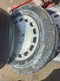 ويل ١٥ • مكفول • مراوس