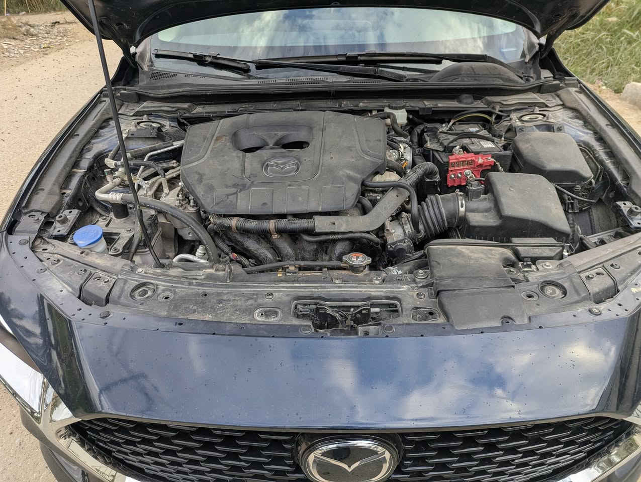 اللهم صل على محمد وال محمد مازدا 3 موديل 2024 ياباني محرك 2500 بدون تيربو ماشيه 7000 صار بيها صبغ حافه بنيد بس سياره فول مواصفات بدون رقم حره سعر 140 هذا رقمي *********** مكاني كربلاء
