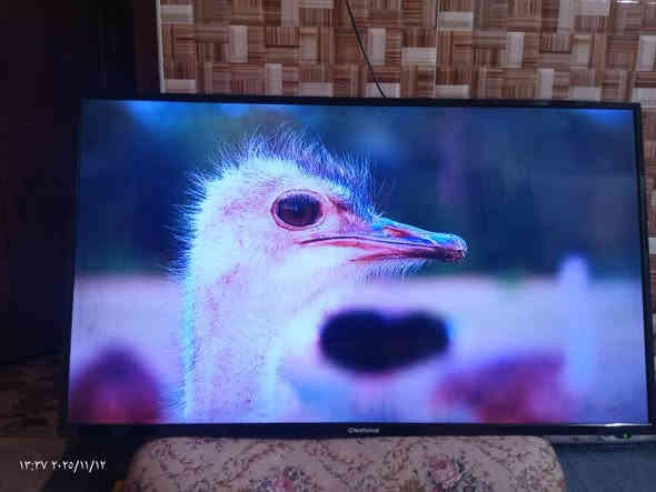 السلام عليكم ورحمه الله وبركاته 
بلازمة ناشنال  فووول مواصفات للبيع 
حجم 43
بدون عيب شرط مال بيت
نظيف جدآ 

- يوتوب 
تربط بلوبايل 
افلام اجنبية
افلام كارتون 
اغاني  ... الخ 

سعرها.      160.  الف. شوية بي مجال 

لستفسار خاص او

 اتصال 

*********** كركوك
