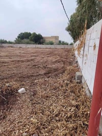 أرض طابو زراعي للبيع المساحه 1730 متر الواجهة 39 والنزال  46 متر سند ب...