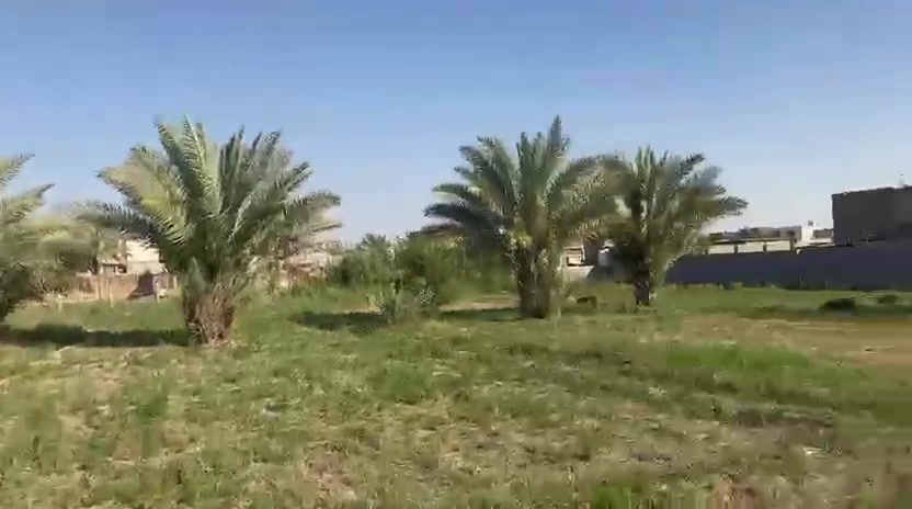 دونم ونص طابو سند 25 الها مدخلين  واحد منهن شارع ارض المي موجود بيها ماء ماينقطع ابدن شتاء صيف وبيها هيكل ملحق وبيها محصار حقل مواشي وبيها نخل ومزروعه جت كاع صالحه للزرع وكلشي متوفر خدمات كهرباء مولد وطني ومي اساله همين مينكطع كلشي متوفرر للكاع وسعرها مناسب رقم تواصل ***********
