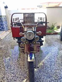 ستوته ام طير • ٢٠١٩ • اوراق كامله