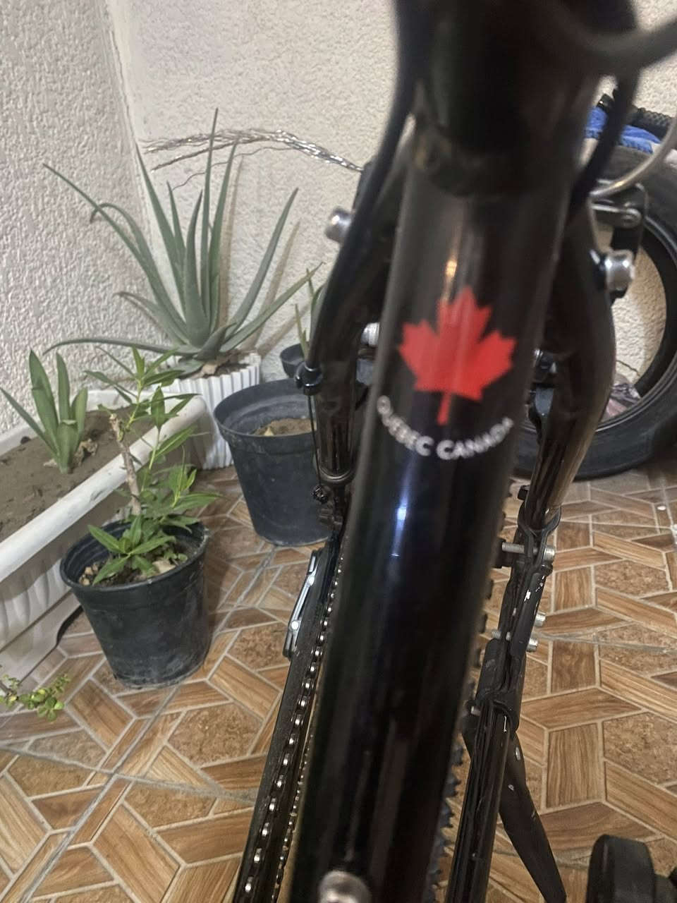 بايسكل لويس كندي جبلي استعمال اقل الشهر رايدة٢٥٠


**إذا كنت صاحب هذا الإعلان وتريد حذفه لأي سبب، رجاءا أرسل رسالة إلى الدعم الفني**