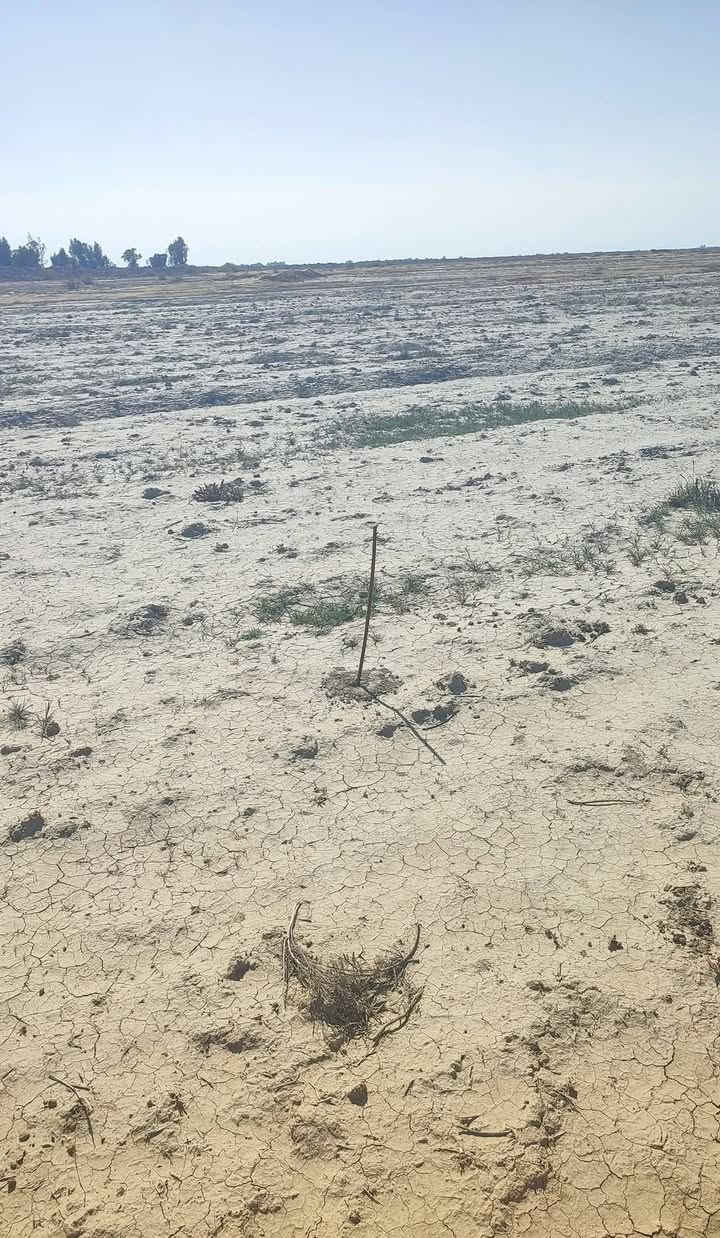 سلام عليكم أرض طابو زراعي سند 25 للبيع 60دونم العنوان الدوانيه الشافعية سعر الدونم /مليون  مداور مباشر يوجد كهرباء لها طرق على السدير وعلى الشافعية 

 ***********
