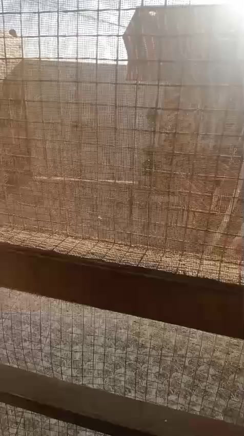 سلام عليكم اخوان بيت ركن حي الباقر كونكريت على ساحتين مساحتة واقع حال 133 متر العرض 6 ونص والطول  20 سنة البناء 2022 كافة الخدمات الطابق الاول غرفة واستقبال ومطبخ وصالة  وصحيات داخلية وخارجيةالطابق الثاني 3 غرف وحمام وصحيات عوزة لباخ وبياض  كهرباء بواري دفن ومجاري  وماي  السعر 150 وبي مجال قليل ***********
