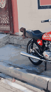 سلام علكيم دارجه للبيع رابيدو كفاله عامه ‭

‭٠٧٨٢ ٢٩٦ ٩٠٩٤‬
مكاني بلدروز 650 وبيه مجال
