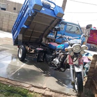 ستوته صقر للبيع  2023، اوراق اصوليه ستوته مكفوله  ،رقم الهاتف 07700696...