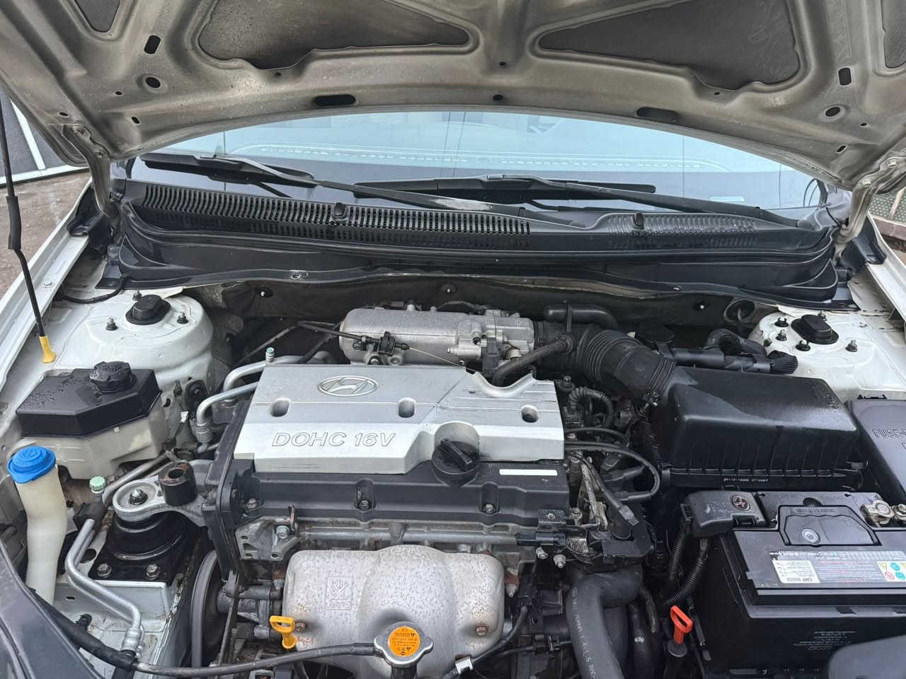 اكسنت خليجي 2008 شركة العامه مكفوله من ظربه بيها 3 اماكن كرت فقط واضح بل سونار مكينه 1400 جاهزه سياره من كلشي ماشيه 75 حقيقي المكان بغداد البنوك السعر 83 مجال كلش بصيط ***********
