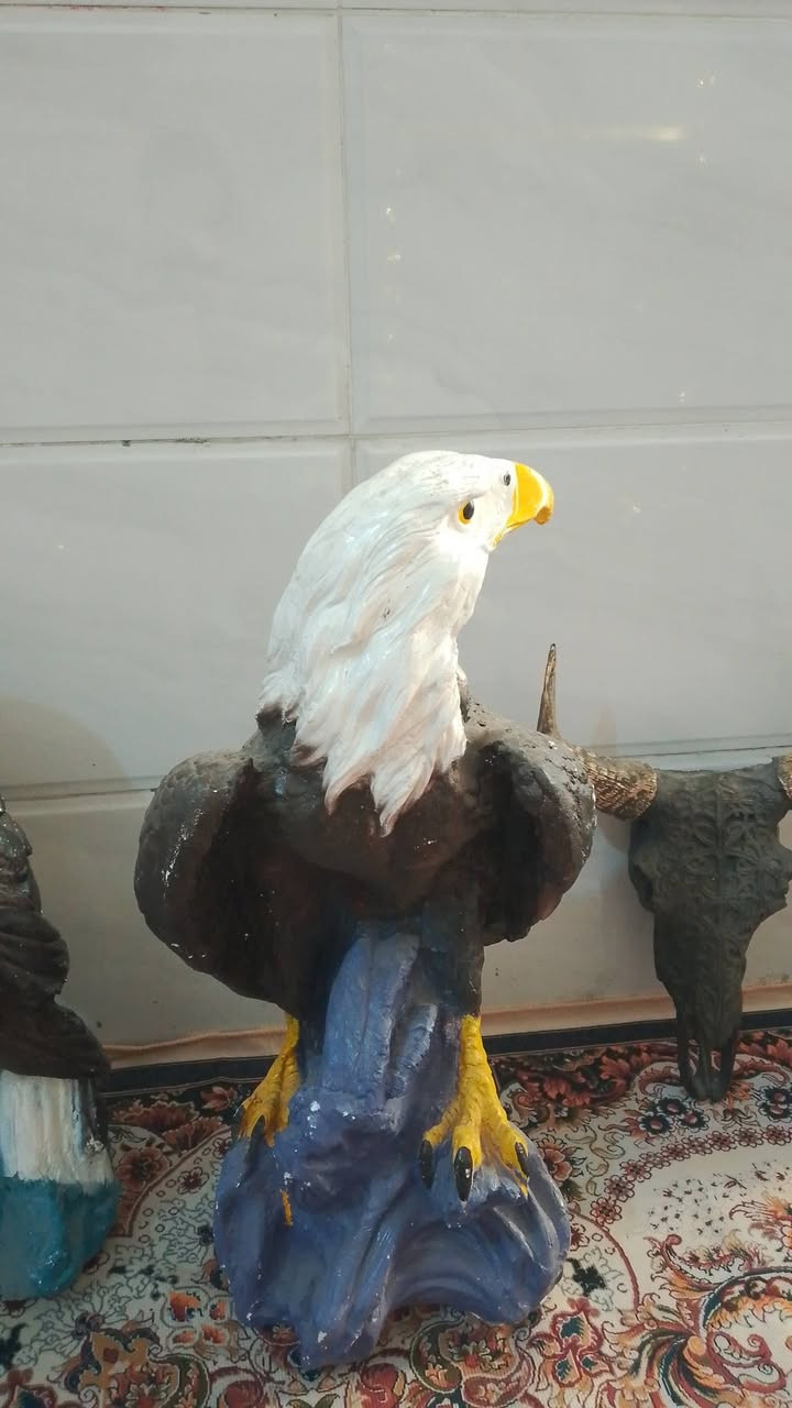 تحفيات حجم كبير سعرهن 50 الف


**إذا كنت صاحب هذا الإعلان وتريد حذفه لأي سبب، رجاءا أرسل رسالة إلى الدعم الفني**