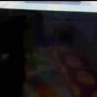 ٣٢ بوصة • بدون نت • قابل تفاوض