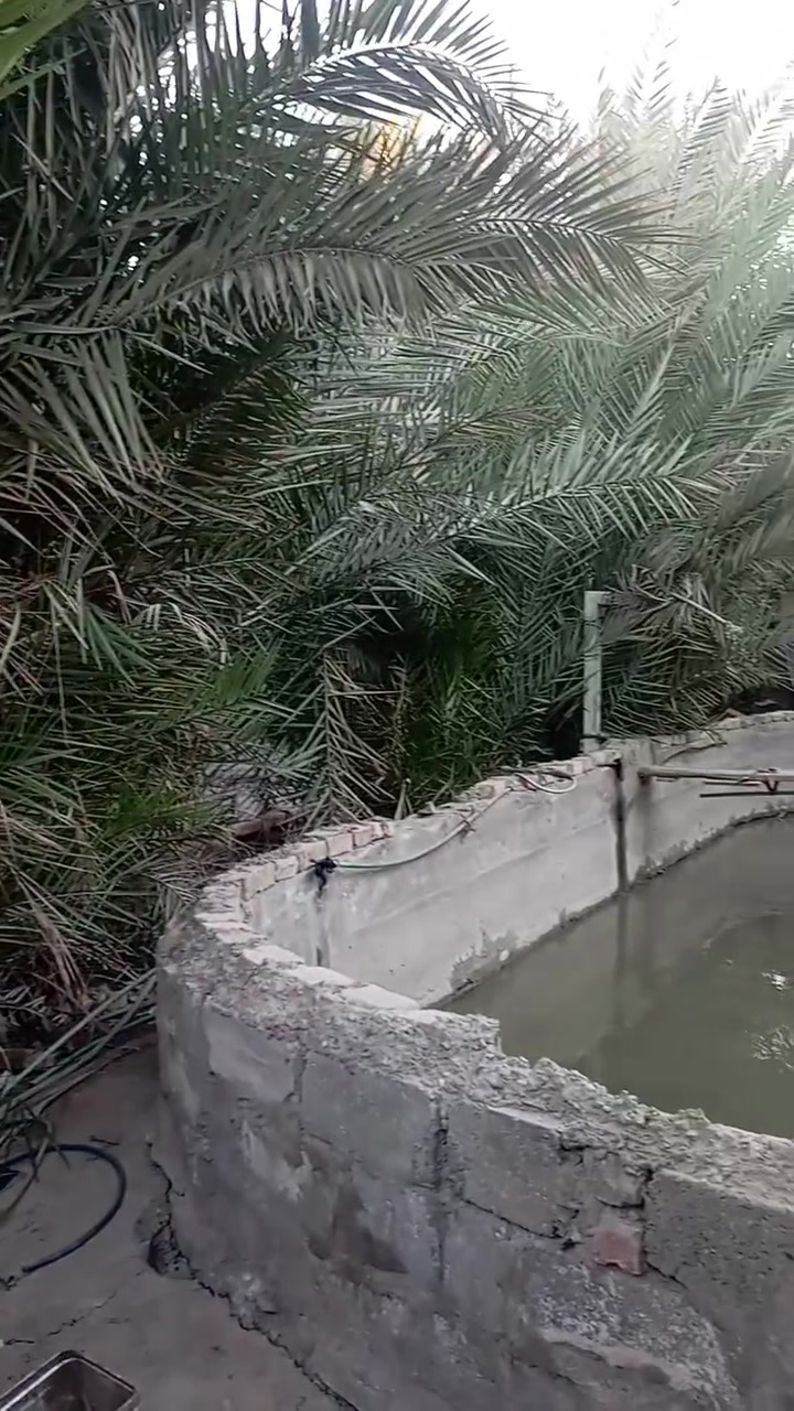 المساحه ٦٢٥ طابو زراعي سند ٢٥ مرقم من قبل البلديه العنوان خلف حي الفرات مقابيل الطاقه الشماليه طريق السنيه السياحي  الاتصال ***********
