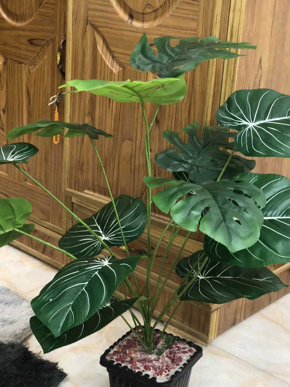 لبيع بغداد الشعب


**إذا كنت صاحب هذا الإعلان وتريد حذفه لأي سبب، رجاءا أرسل رسالة إلى الدعم الفني**