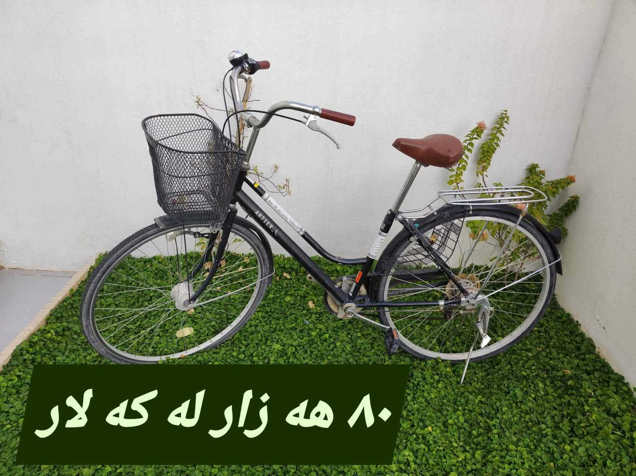 ئه شياى زياده ى ناومالەکەت بنیرە بابۆت بفرۆشم توش  لەرهەر شاریکن بەکەمترین کات و گونجاو ترین نرخ


**إذا كنت صاحب هذا الإعلان وتريد حذفه لأي سبب، رجاءا أرسل رسالة إلى الدعم الفني**