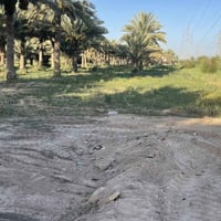 كربلاء طويريج • ٤٢٠م • طابو سند ٢٥