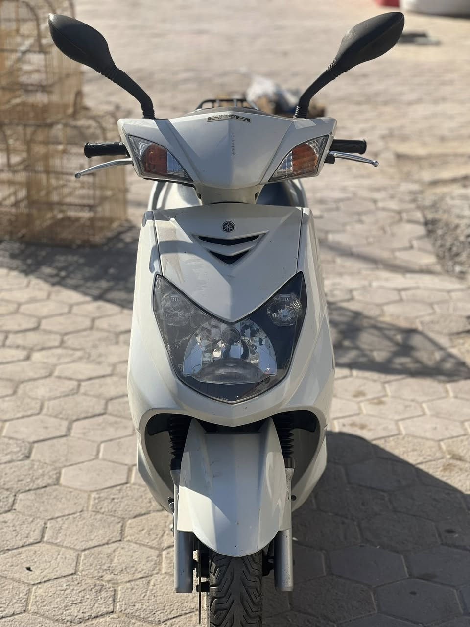 سكنس فحل بلاديه مكفوله للبيع
للستفسار***********
