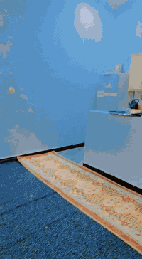 اللهم صلي على محمد وال محمد الطيبين الطاهرين دار للبيع مساحه 250واجه 10يحتوي ع غرفتين وصاله مفتوحه ع مطبخ واستقبال خارجي يحتوي ع مطبخ ومنوروصحيات داخليه و خارجيه وبناءطابوك  ،،طابوزراعي قرب شارع نجمه شارع لحله شارع كشك علاء سعرمع الاثاث 95وبي مجال ***********وتوكلنا ع الله
