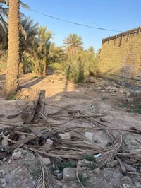 قطعه مساحه 140متر زراعي بسديناويه قرب الدله شارعهه 8امتار و50متر عن شا...