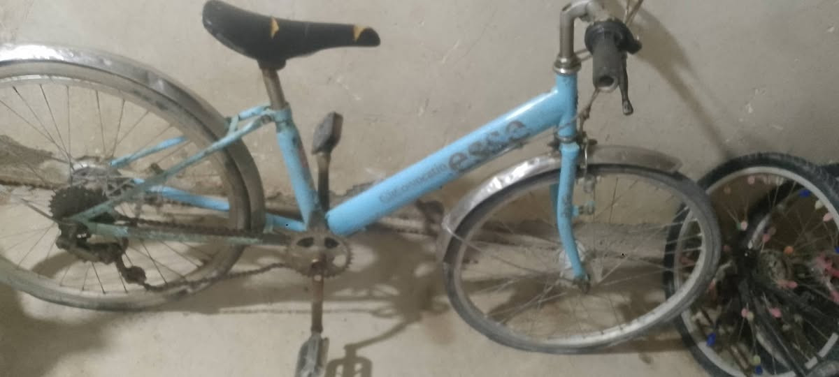 بغداد شعلة چكوك


**إذا كنت صاحب هذا الإعلان وتريد حذفه لأي سبب، رجاءا أرسل رسالة إلى الدعم الفني**