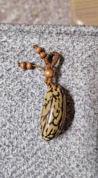 عود الصليب • عود الصليب للبيع • فوائد عود الصليب • عشبة عود الصليب • ا...