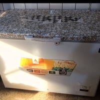 جميلة • مجمدة الحافظ • بدون تصليح