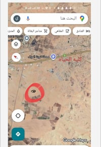 قوسيات كلية الحياة • ٦٢٥م • سند أبيض زراعي